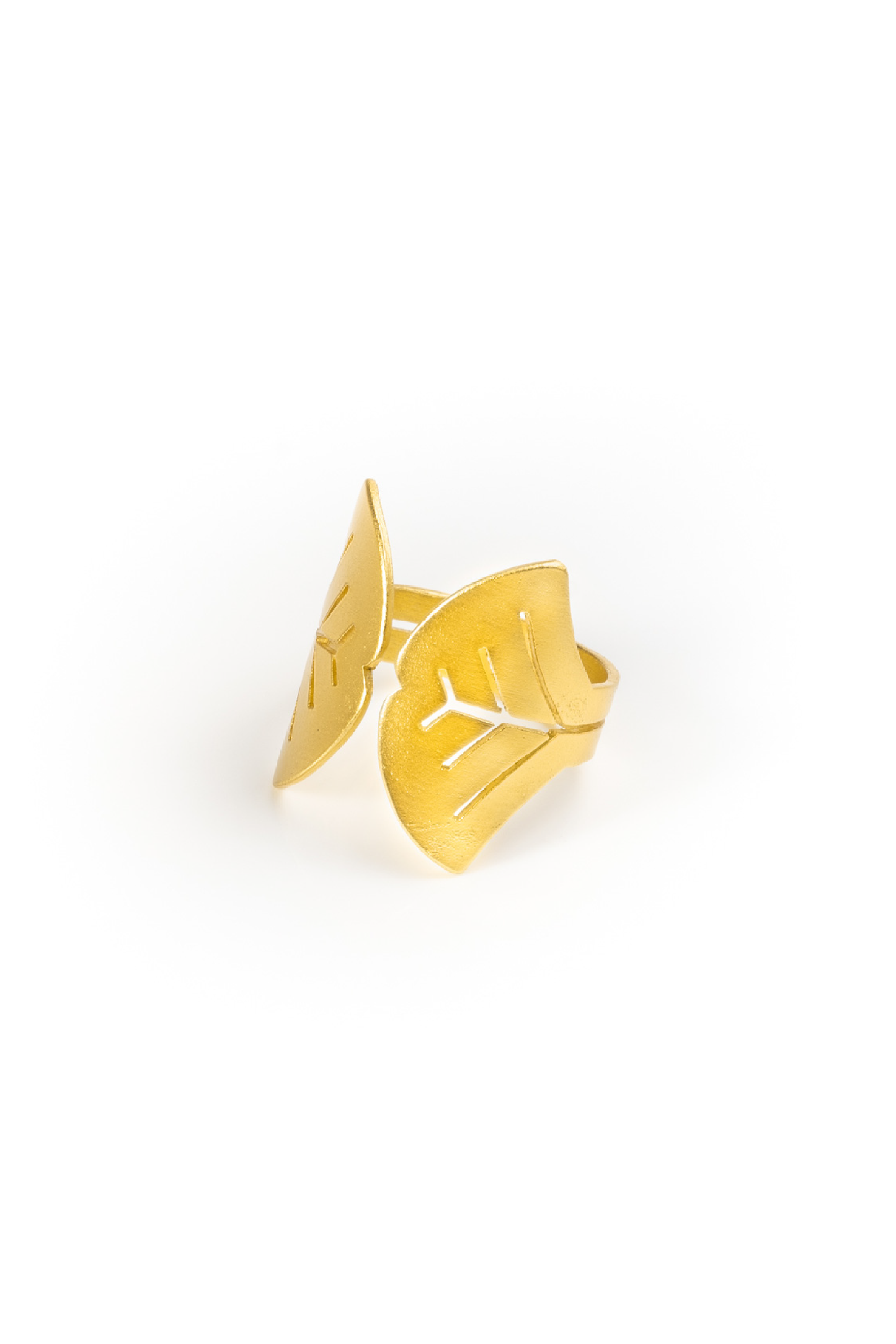 Anillo Aina