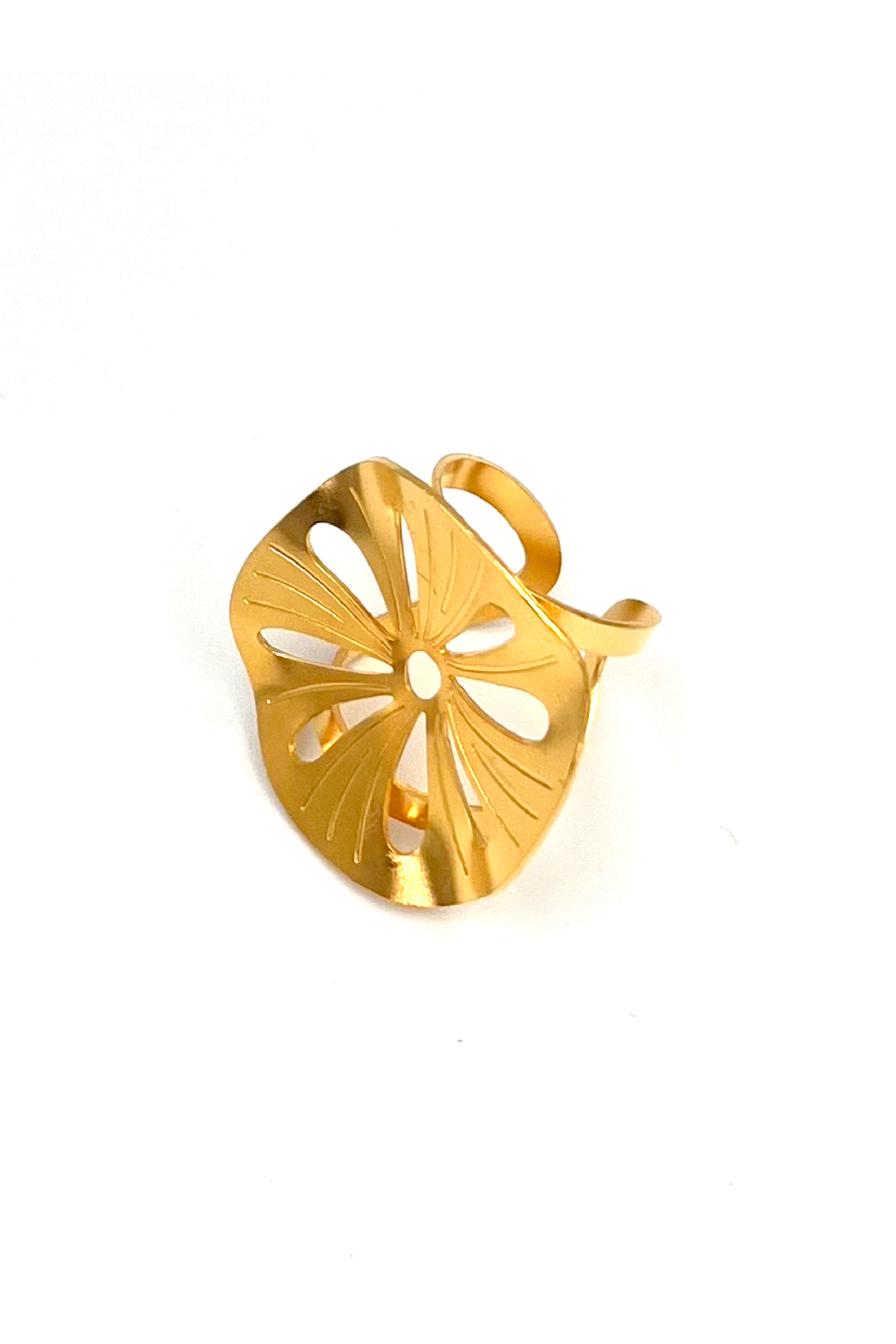 Anillo Gazania