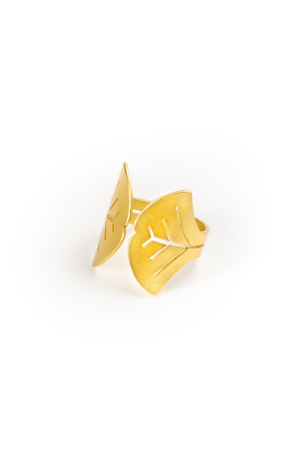 Anillo Aina