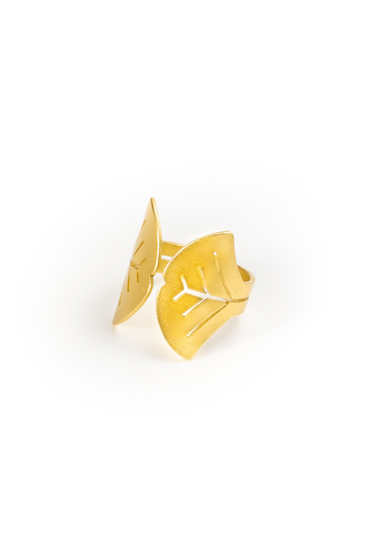 Anillo Aina