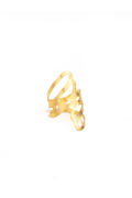 Anillo Monarca