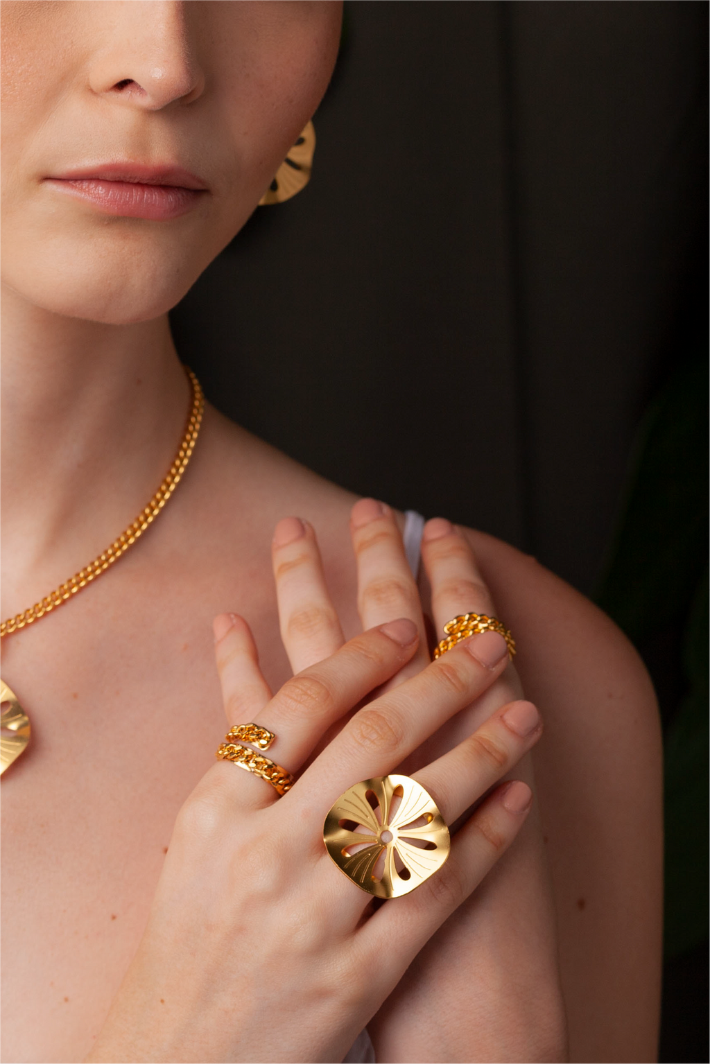 Anillo Gazania