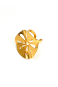 Anillo Gazania