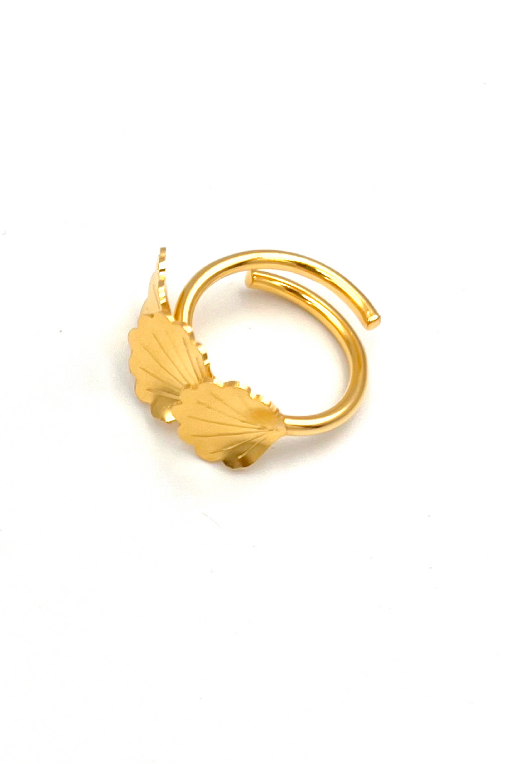 Anillo Rayen
