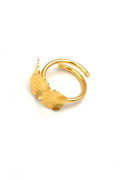 Anillo Rayen