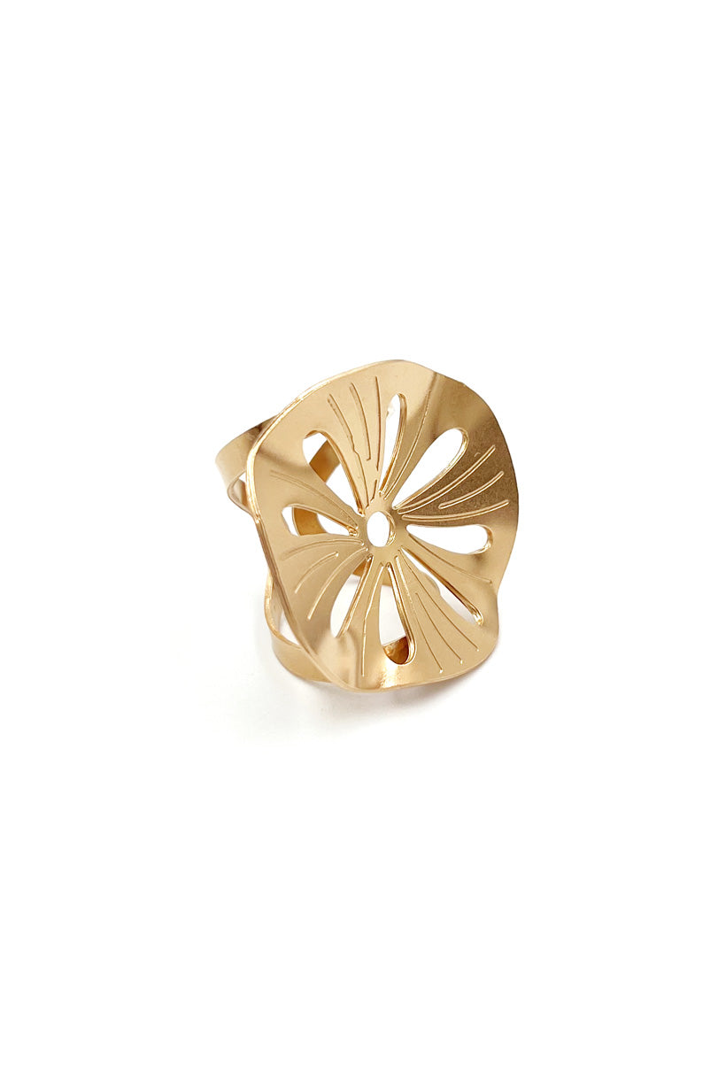 Anillo Gazania