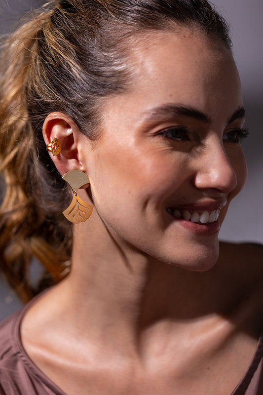Aretes Aina