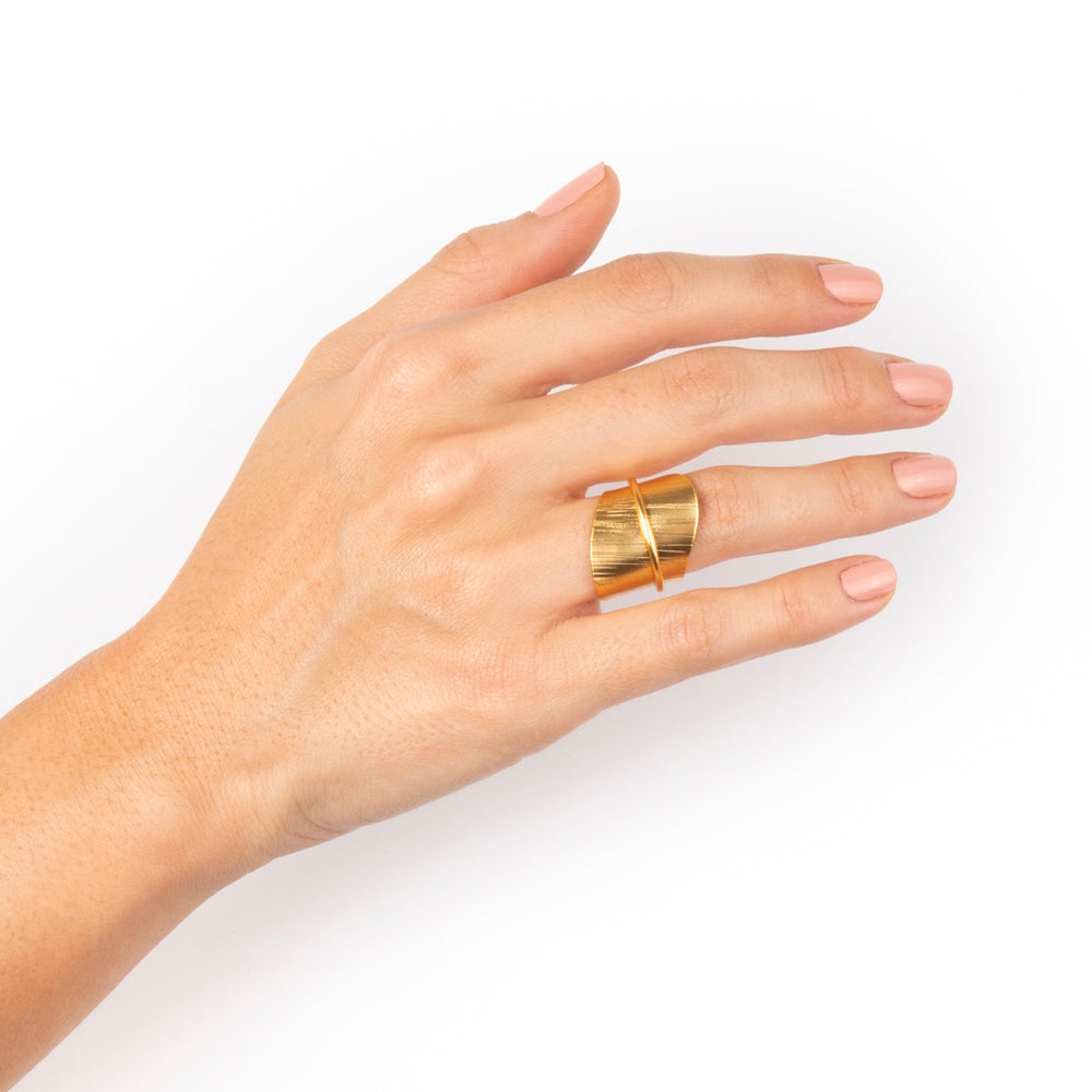 Anillo Tallo